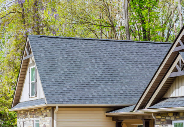 Trusted Las Quintas Fronterizas, TX Roofing Service Experts